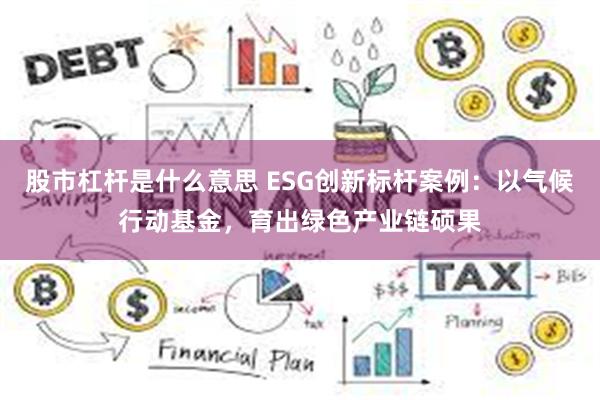 股市杠杆是什么意思 ESG创新标杆案例：以气候行动基金，育出绿色产业链硕果