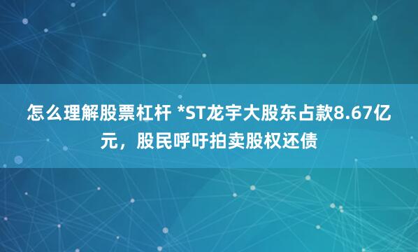 怎么理解股票杠杆 *ST龙宇大股东占款8.67亿元，股民呼吁拍卖股权还债