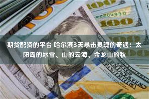 期货配资的平台 哈尔滨3天暴击灵魂的奇遇：太阳岛的冰雪、山的云海、金龙山的秋