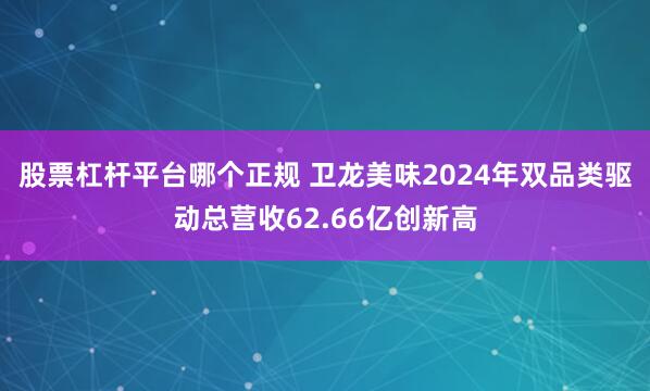 股票杠杆平台哪个正规 卫龙美味2024年双品类驱动总营收62.66亿创新高