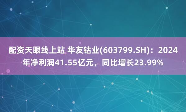 配资天眼线上站 华友钴业(603799.SH)：2024年净利润41.55亿元，同比增长23.99%