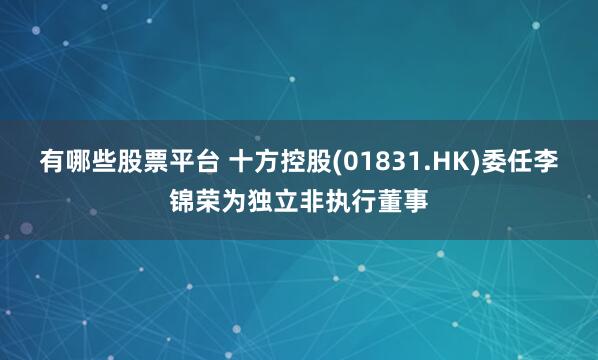 有哪些股票平台 十方控股(01831.HK)委任李锦荣为独立非执行董事