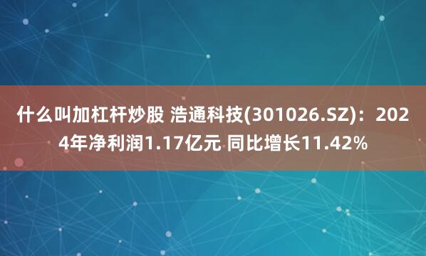 什么叫加杠杆炒股 浩通科技(301026.SZ)：2024年净利润1.17亿元 同比增长11.42%