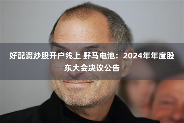 好配资炒股开户线上 野马电池：2024年年度股东大会决议公告