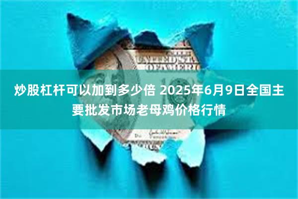 炒股杠杆可以加到多少倍 2025年6月9日全国主要批发市场老母鸡价格行情
