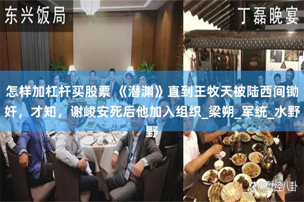 怎样加杠杆买股票 《潜渊》直到王牧天被陆西间锄奸，才知，谢峻安死后他加入组织_梁朔_军统_水野